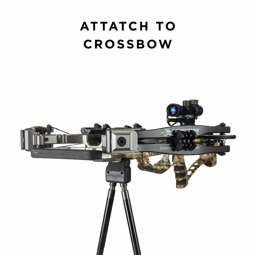 QD_crossbow_1080x.jpg?v=1641311383